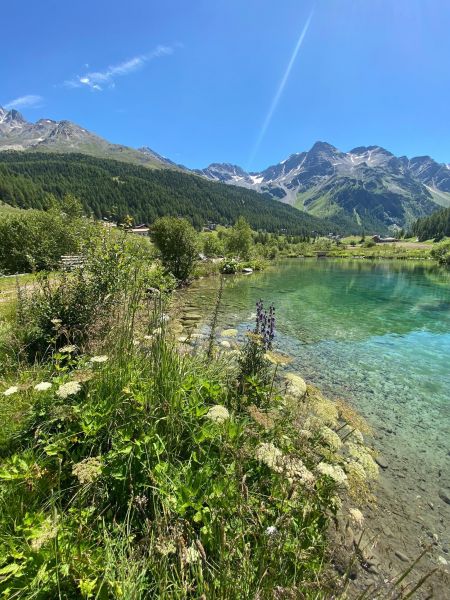 foto 25 Aluguer de frias entre particulares Plose maison Trentino-Alto Adige Bolzano