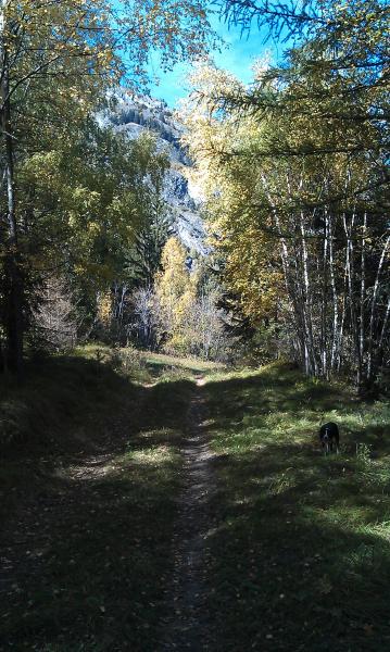 foto 13 Aluguer de frias entre particulares Termignon la Vanoise gite Rdano-Alpes Sabia