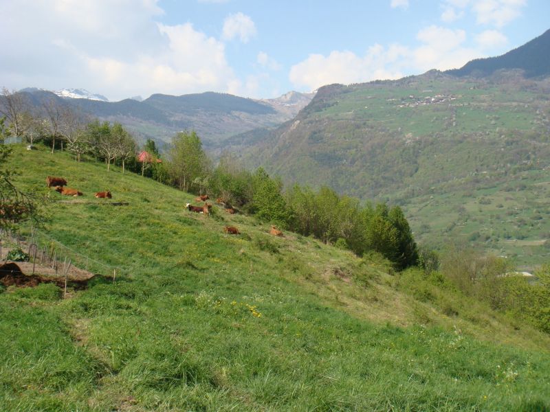 foto 22 Aluguer de frias entre particulares Valmorel gite Rdano-Alpes Sabia Outras