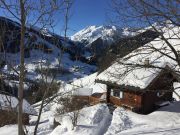 Aluguer frias Alpes Franceses para 5 pessoas: chalet n 358