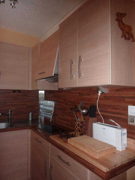 foto 4 Aluguer de frias entre particulares Besse - Super Besse appartement Auvergne Puy-de-Dme Cozinha americana