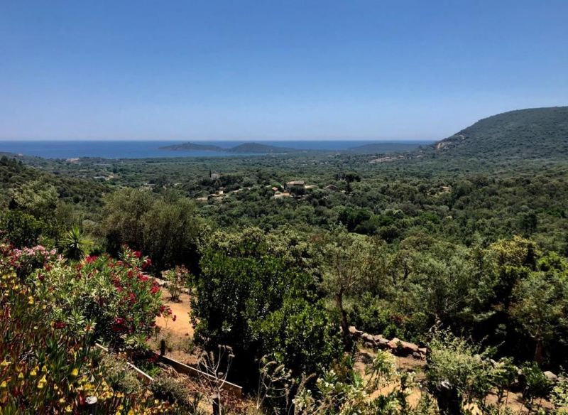 foto 4 Aluguer de férias entre particulares Ste Lucie de Porto Vecchio maison Córsega Córsega do Sul Vista do terraço