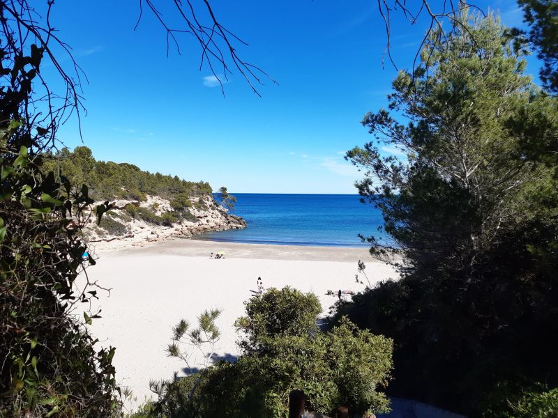 foto 22 Aluguer de frias entre particulares L'Ametlla de Mar villa Catalunha Tarragona (provncia de) Praia