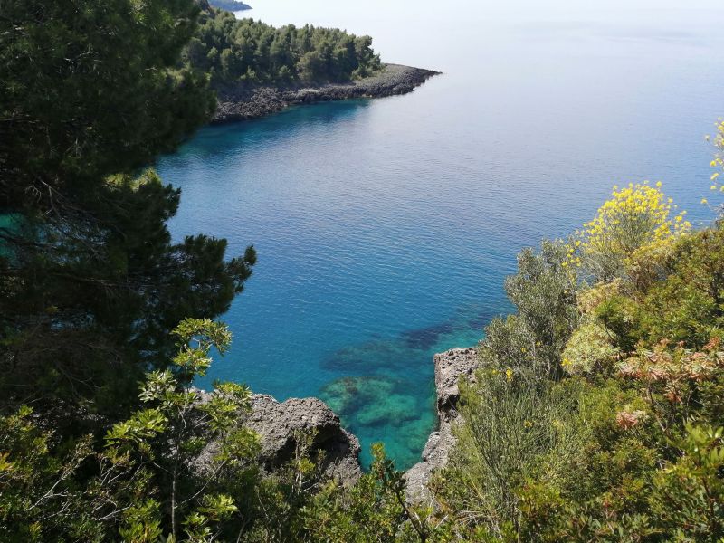 foto 15 Aluguer de frias entre particulares Maratea maison Basilicata Potenza Vista dos arredores