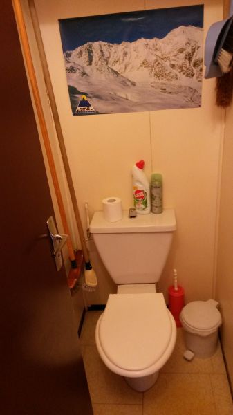 foto 6 Aluguer de férias entre particulares Piau Engaly appartement Midi-Pyrénées Altos Pirineus WC separado