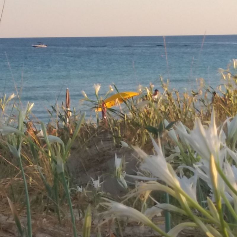 foto 16 Aluguer de férias entre particulares Otranto villa Puglia Lecce (província de) Vista dos arredores