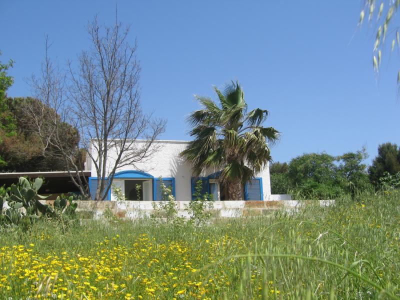 foto 2 Aluguer de férias entre particulares Pescoluse maison Puglia Lecce (província de)