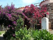 Aluguer frias Porto San Paolo: villa n 45862