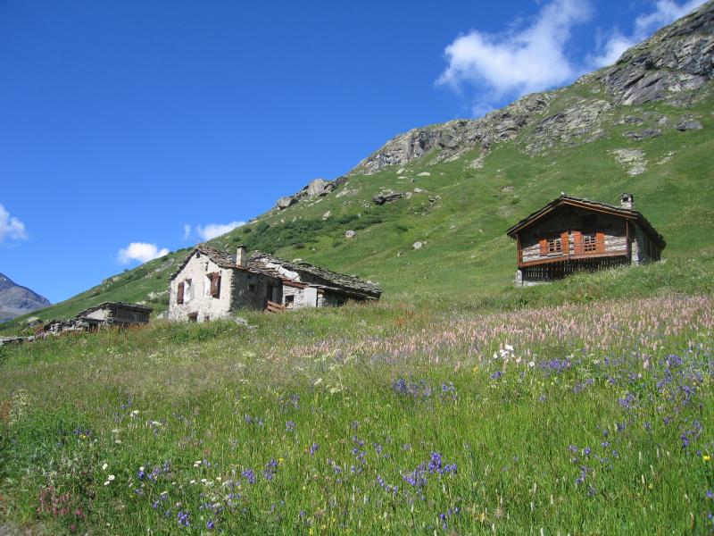 foto 20 Aluguer de férias entre particulares Bonneval sur Arc studio Ródano-Alpes Sabóia Outras