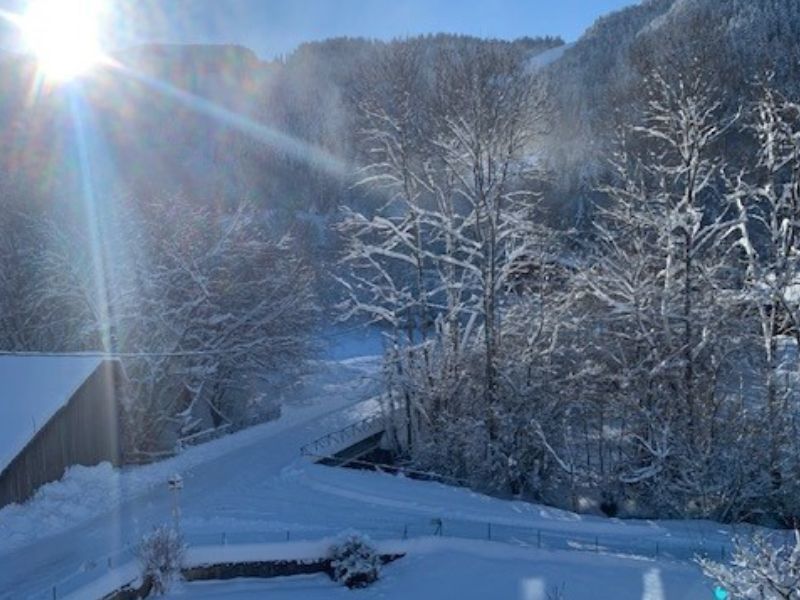 foto 0 Aluguer de frias entre particulares Bernex appartement Rdano-Alpes Alta Sabia Vista desde do alojamento