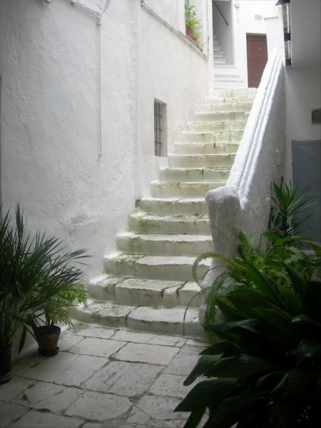 foto 19 Aluguer de frias entre particulares Monopoli appartement Puglia Bari (provncia de)