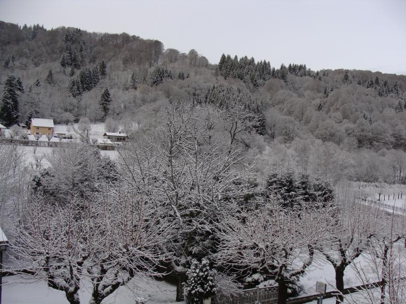 foto 17 Aluguer de frias entre particulares Le Mont Dore appartement Auvergne Puy-de-Dme Vista desde do alojamento