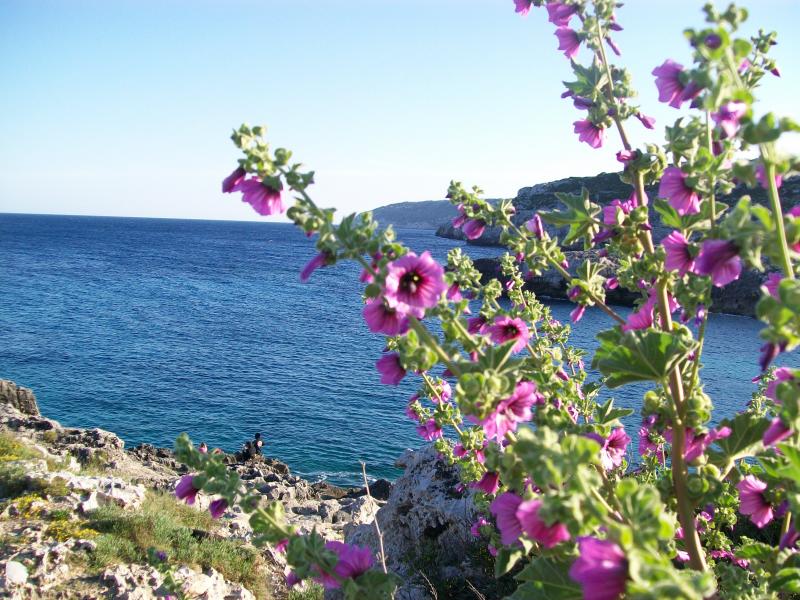 foto 7 Aluguer de férias entre particulares Santa Maria di Leuca appartement Puglia Lecce (província de) Vista dos arredores