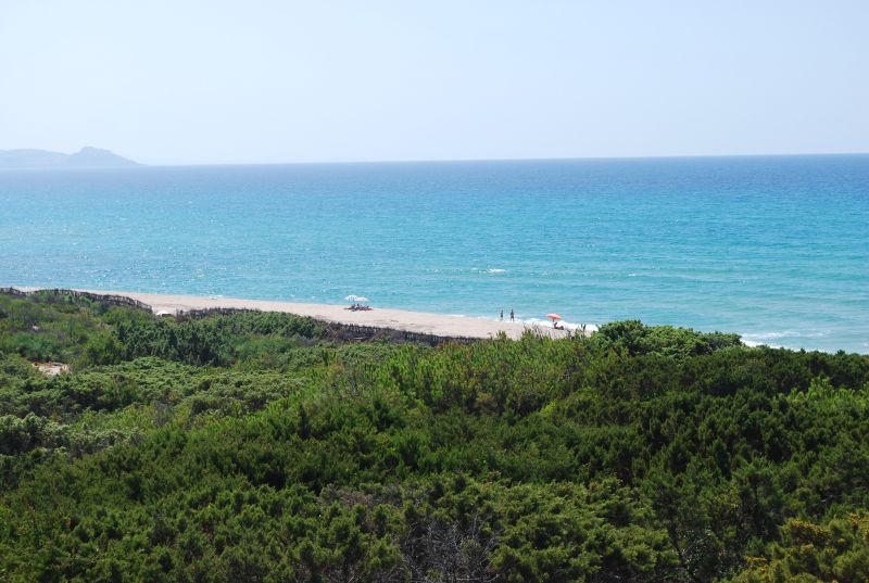 foto 17 Aluguer de frias entre particulares Badesi maison Sardenha Olbia Tempio (provncia de) Praia