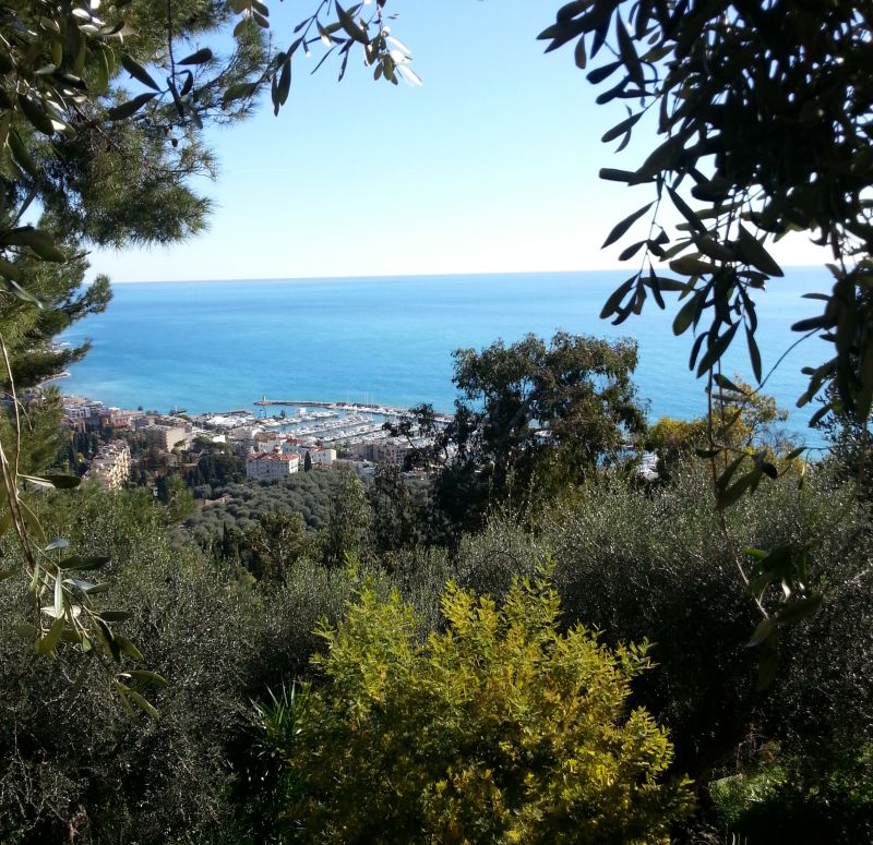 foto 1 Aluguer de frias entre particulares Menton gite Provena-Alpes-Costa Azul Alpes Maritimos Vista desde do alojamento