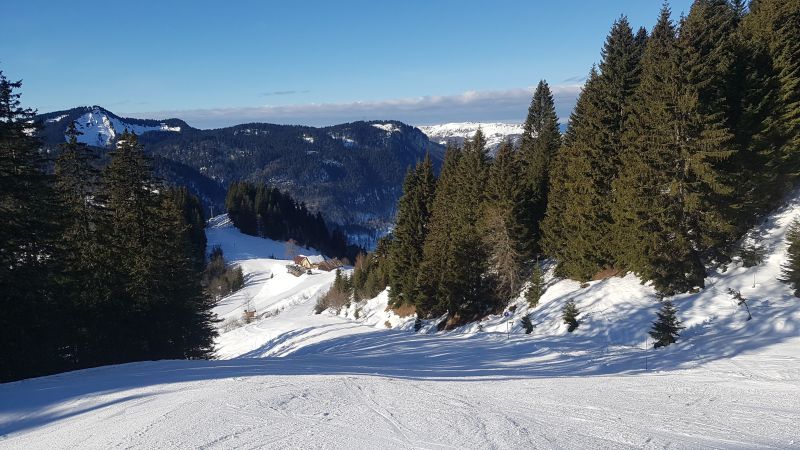 foto 4 Aluguer de frias entre particulares Bellevaux Hirmentaz La Chvrerie studio Rdano-Alpes Alta Sabia Vista dos arredores