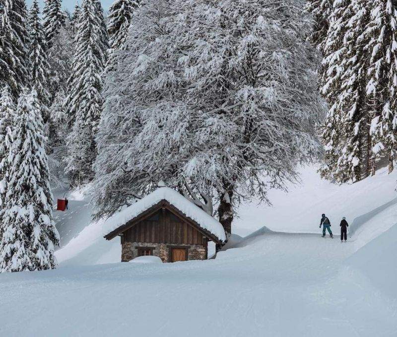 foto 13 Aluguer de férias entre particulares Bellevaux Hirmentaz La Chèvrerie studio Ródano-Alpes Alta Sabóia Outras