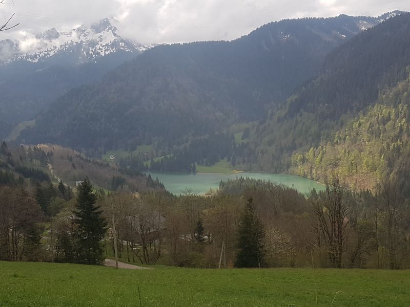 foto 18 Aluguer de férias entre particulares Bellevaux Hirmentaz La Chèvrerie studio Ródano-Alpes Alta Sabóia Vista dos arredores