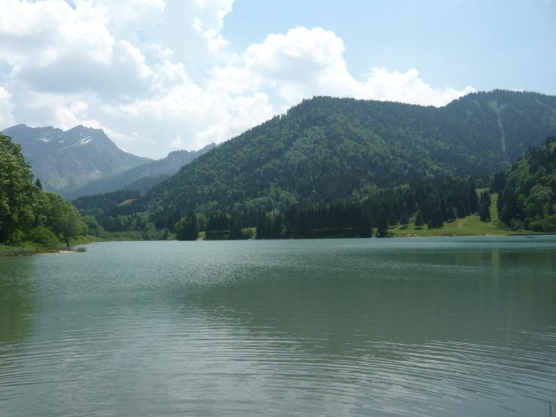 foto 17 Aluguer de férias entre particulares Bellevaux Hirmentaz La Chèvrerie studio Ródano-Alpes Alta Sabóia Vista dos arredores