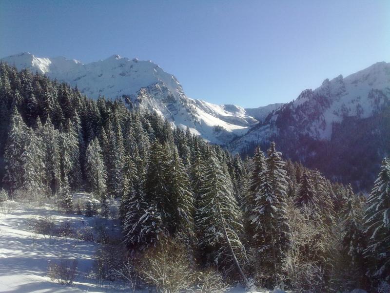 foto 2 Aluguer de frias entre particulares Bellevaux Hirmentaz La Chvrerie studio Rdano-Alpes Alta Sabia Vista dos arredores