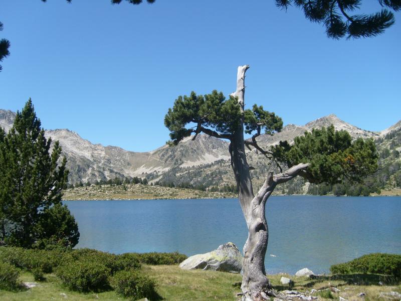 foto 17 Aluguer de férias entre particulares Piau Engaly appartement Midi-Pyrénées Altos Pirineus Outras