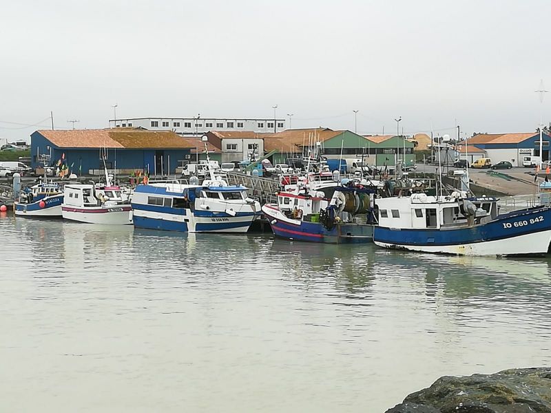 foto 14 Aluguer de férias entre particulares La Cotinière maison Poitou-Charentes Charente-Maritime Vista dos arredores