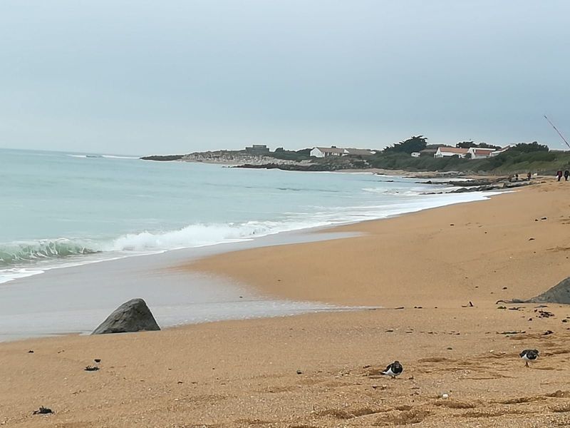 foto 15 Aluguer de férias entre particulares La Cotinière maison Poitou-Charentes Charente-Maritime Praia