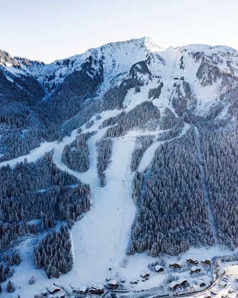 foto 21 Aluguer de férias entre particulares Châtel appartement Ródano-Alpes Alta Sabóia Vista dos arredores