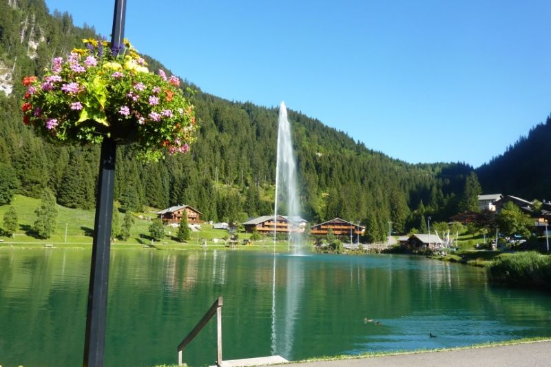 foto 17 Aluguer de férias entre particulares Châtel appartement Ródano-Alpes Alta Sabóia Vista dos arredores