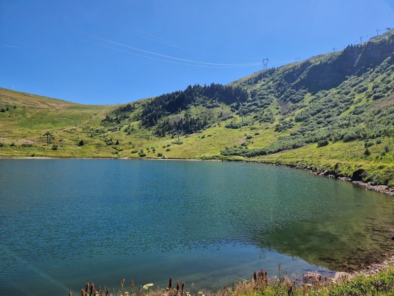 foto 29 Aluguer de férias entre particulares Les Carroz d'Araches appartement Ródano-Alpes Alta Sabóia Vista dos arredores