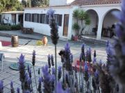 Aluguer casas de turismo rural frias Portugal: gite n 61769