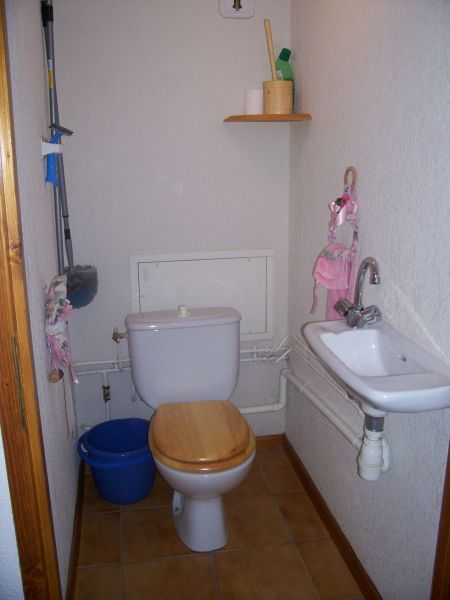 foto 24 Aluguer de frias entre particulares Praz sur Arly appartement Rdano-Alpes Alta Sabia WC separado