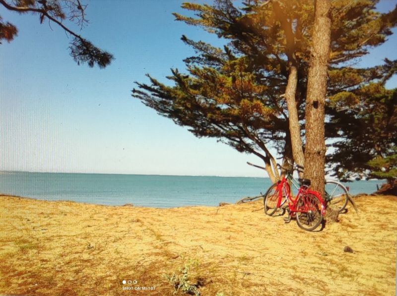 foto 10 Aluguer de férias entre particulares Saint Georges d'Oléron maison Poitou-Charentes Charente-Maritime Praia