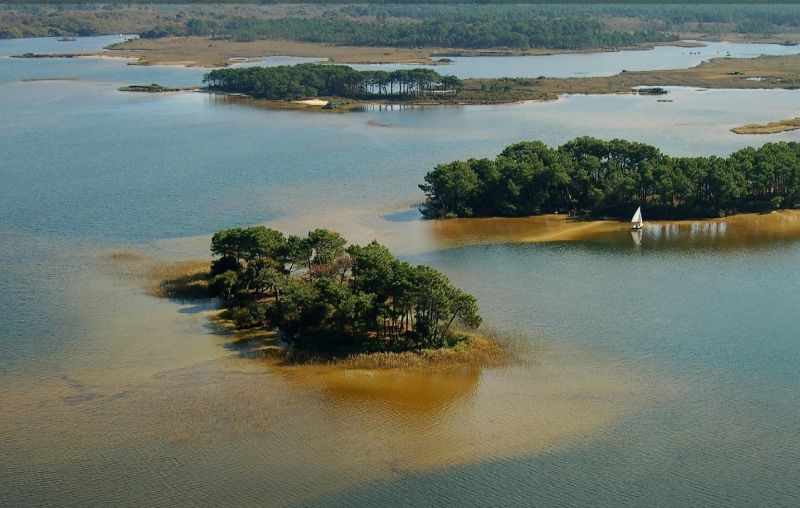 foto 20 Aluguer de férias entre particulares Lacanau maison Aquitânia Gironda Vista dos arredores