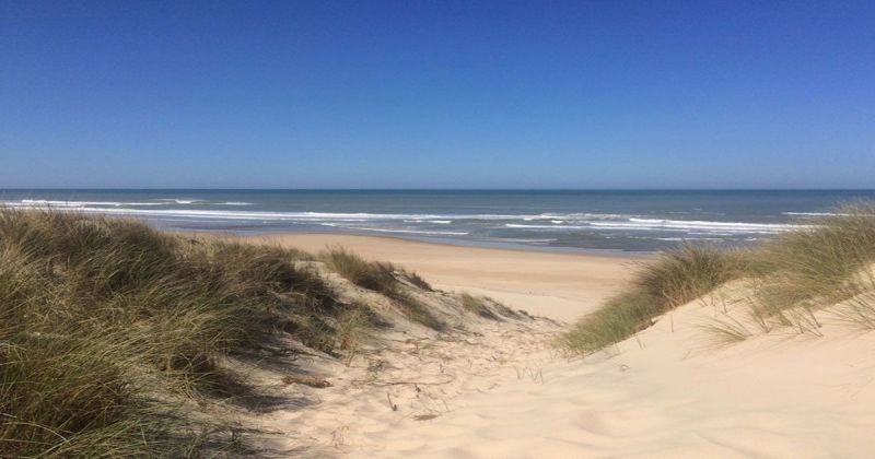 foto 21 Aluguer de férias entre particulares Lacanau maison Aquitânia Gironda Praia