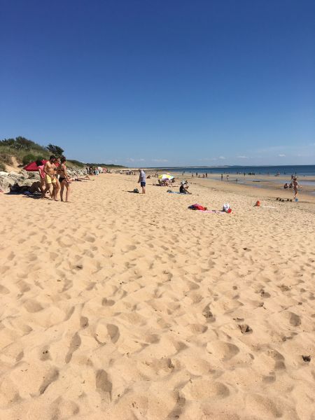 foto 15 Aluguer de frias entre particulares Dolus d'Olron maison Poitou-Charentes Charente-Maritime