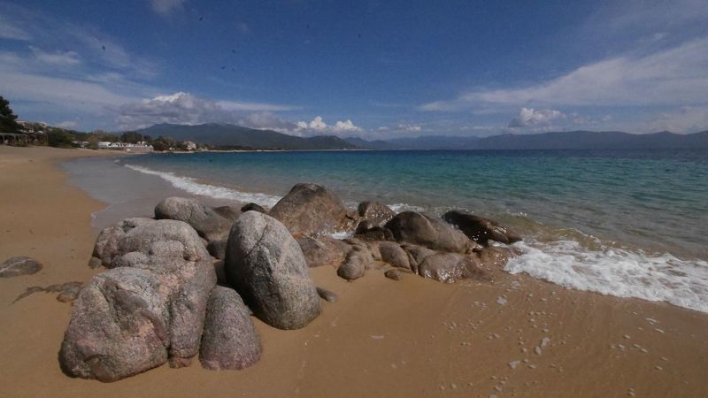 foto 14 Aluguer de férias entre particulares Porto Pollo studio Córsega Córsega do Sul Praia