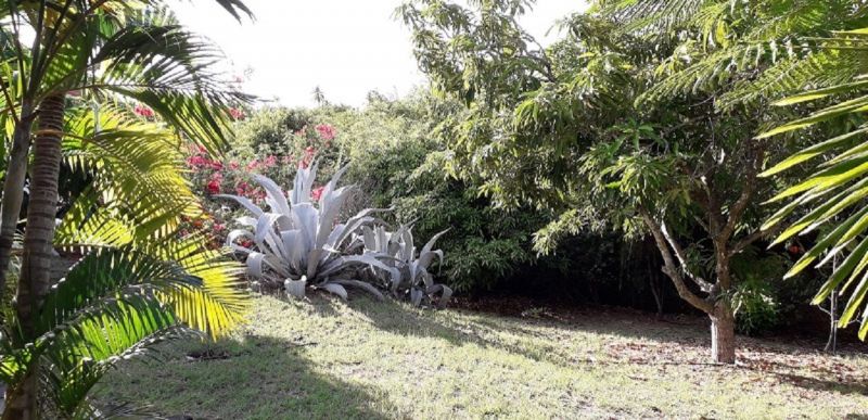 foto 7 Aluguer de férias entre particulares Vieux-habitants studio Basse Terre  Jardim