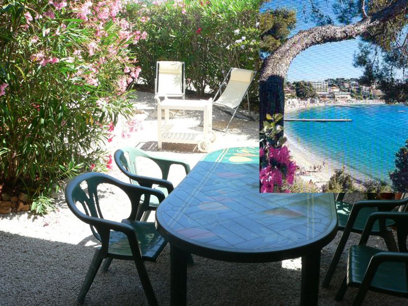 foto 0 Aluguer de frias entre particulares Bandol appartement Provena-Alpes-Costa Azul Var Jardim