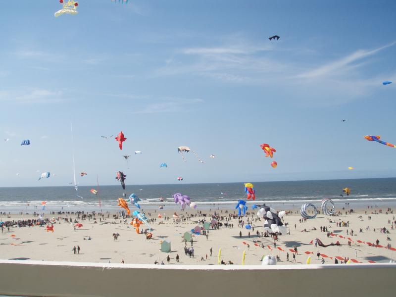 foto 6 Aluguer de frias entre particulares Berck-Praia appartement Nord-Pas de Calais Pas de Calais Vista desde do alojamento