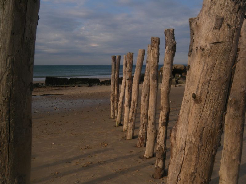 foto 25 Aluguer de férias entre particulares Wimereux appartement Nord-Pas de Calais Pas de Calais Outras