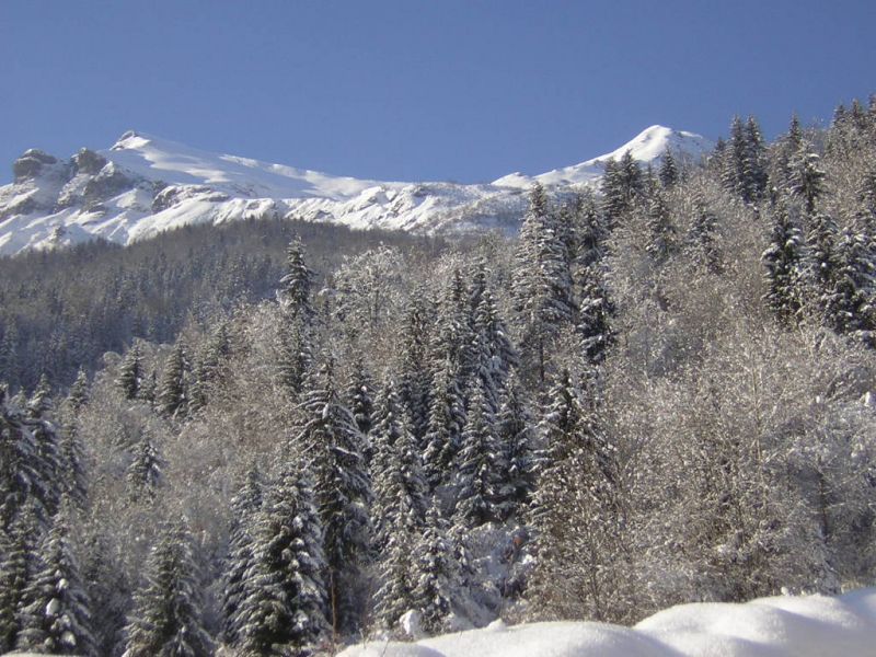 foto 13 Aluguer de frias entre particulares Les Contamines Montjoie maison Rdano-Alpes Alta Sabia