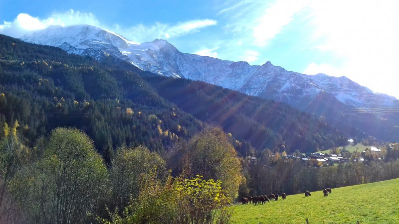 foto 15 Aluguer de frias entre particulares Les Contamines Montjoie maison Rdano-Alpes Alta Sabia