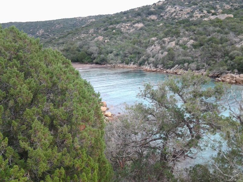 foto 7 Aluguer de férias entre particulares Tizzano villa Córsega Córsega do Sul Vista dos arredores