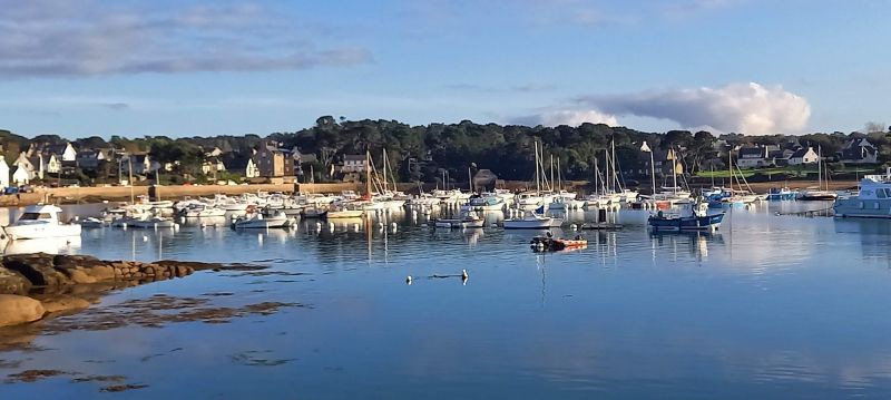 foto 12 Aluguer de férias entre particulares Perros-Guirec appartement Bretanha Côtes d'Armor Vista dos arredores