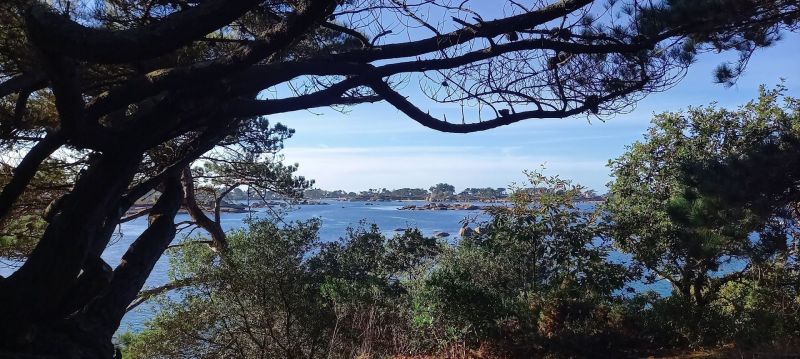 foto 20 Aluguer de férias entre particulares Perros-Guirec appartement Bretanha Côtes d'Armor Vista dos arredores