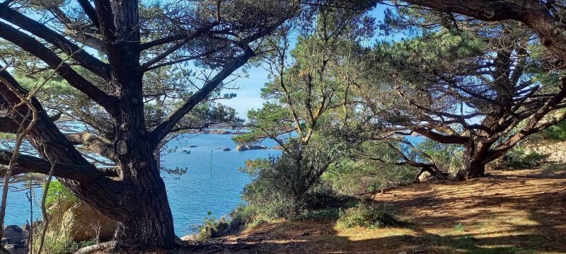 foto 21 Aluguer de férias entre particulares Perros-Guirec appartement Bretanha Côtes d'Armor Vista dos arredores