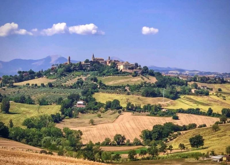 foto 5 Aluguer de frias entre particulares Marotta maison Marche Pesaro e Urbino (provncia de) Vista desde do alojamento