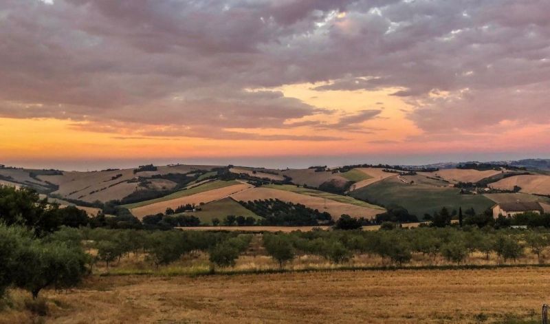 foto 3 Aluguer de frias entre particulares Marotta maison Marche Pesaro e Urbino (provncia de) Vista desde do alojamento