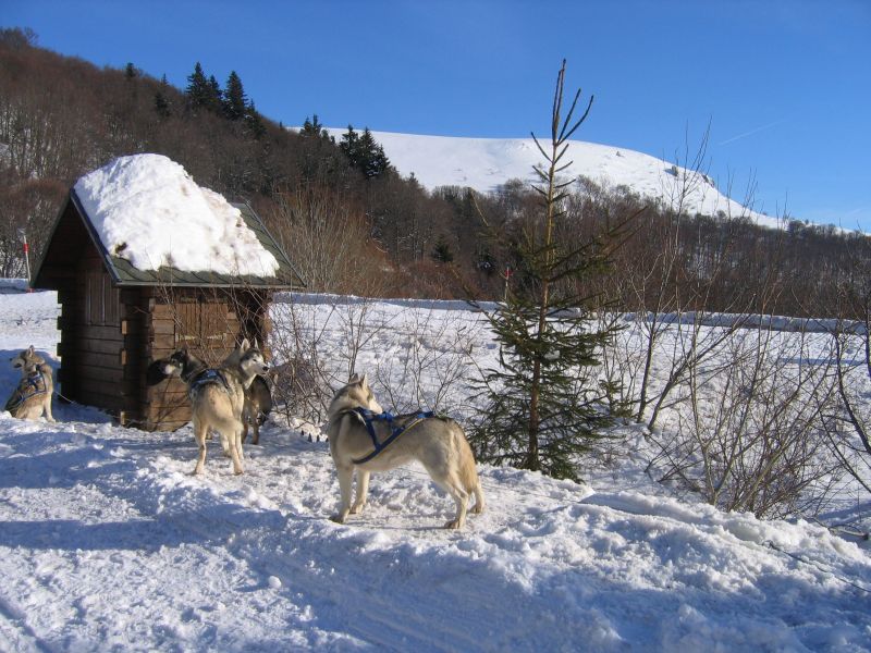 foto 17 Aluguer de frias entre particulares Le Mont Dore appartement Auvergne Puy-de-Dme